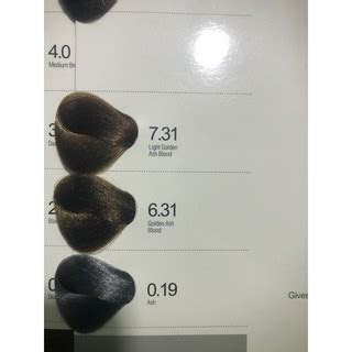 | ✓free shipping ✓lowest price ✓hot deals. bremod hair color 100ml ash series ash blonde ash grey ash