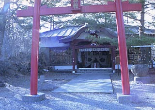 船津胎内樹型 河口湖地区