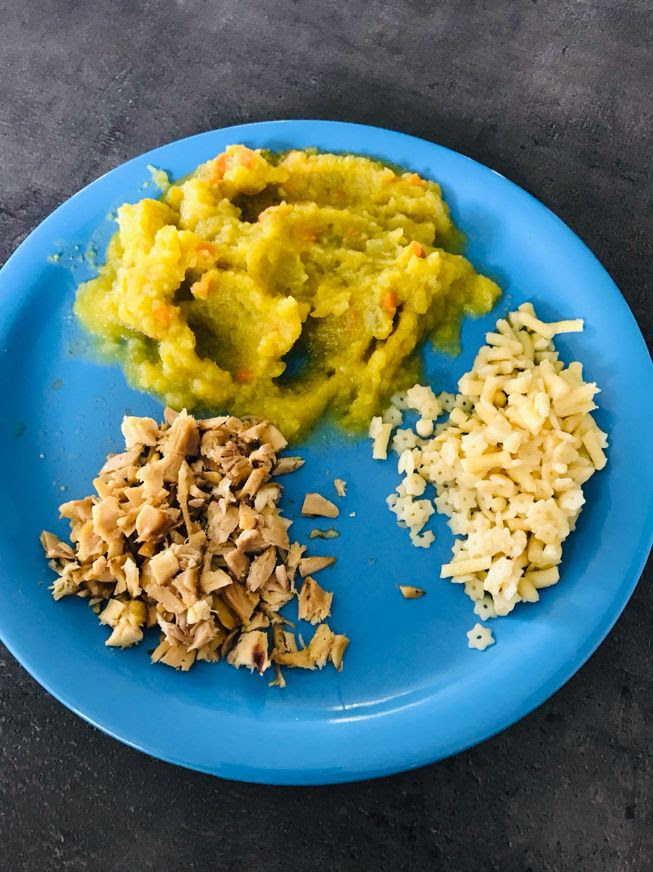 Assiette Bebe Des 10 Mois Puree Courgettes Carottes Navet Pates Poulet Roti Recettes Simples Et Rapides
