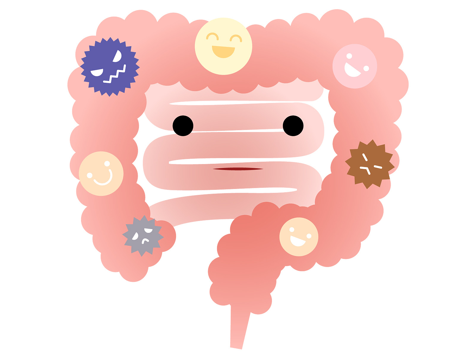 腸活がオススメなのは人間だけじゃない 犬の腸内環境を整えてる 犬の総合情報サイト ペットスマイルニュースforワンちゃん