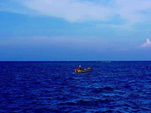 Săn cá 