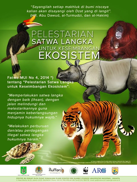 Keren Poster  Gambar  Hewan  Kartun Koleksi Poster 