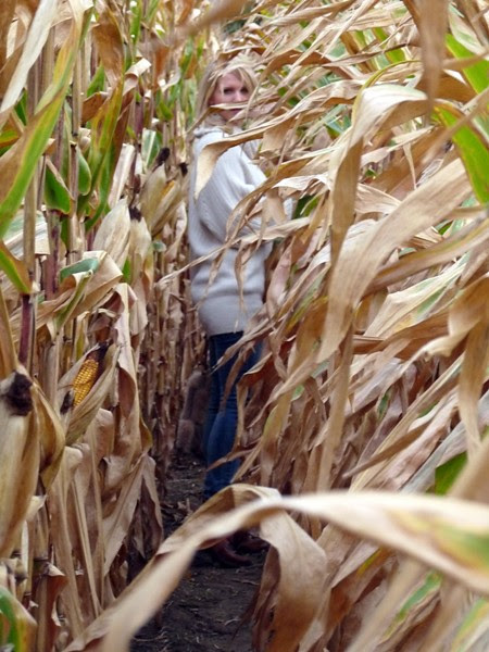 corn2