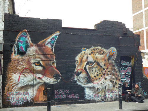 loups ethiopiens.jpg