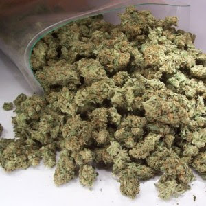 Marijuana