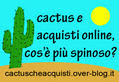 www.cactuscheacquisti.it