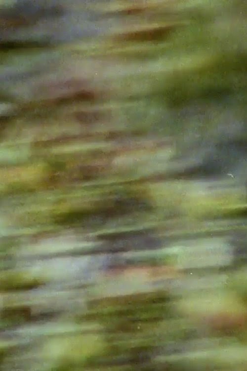 Film-Kijken Cezanne's Eye 1982 Volledige Film Online GratisSub
Nederlands 1080p