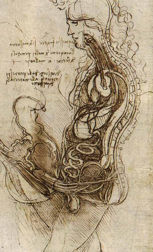 the drawings of Leonardo da
