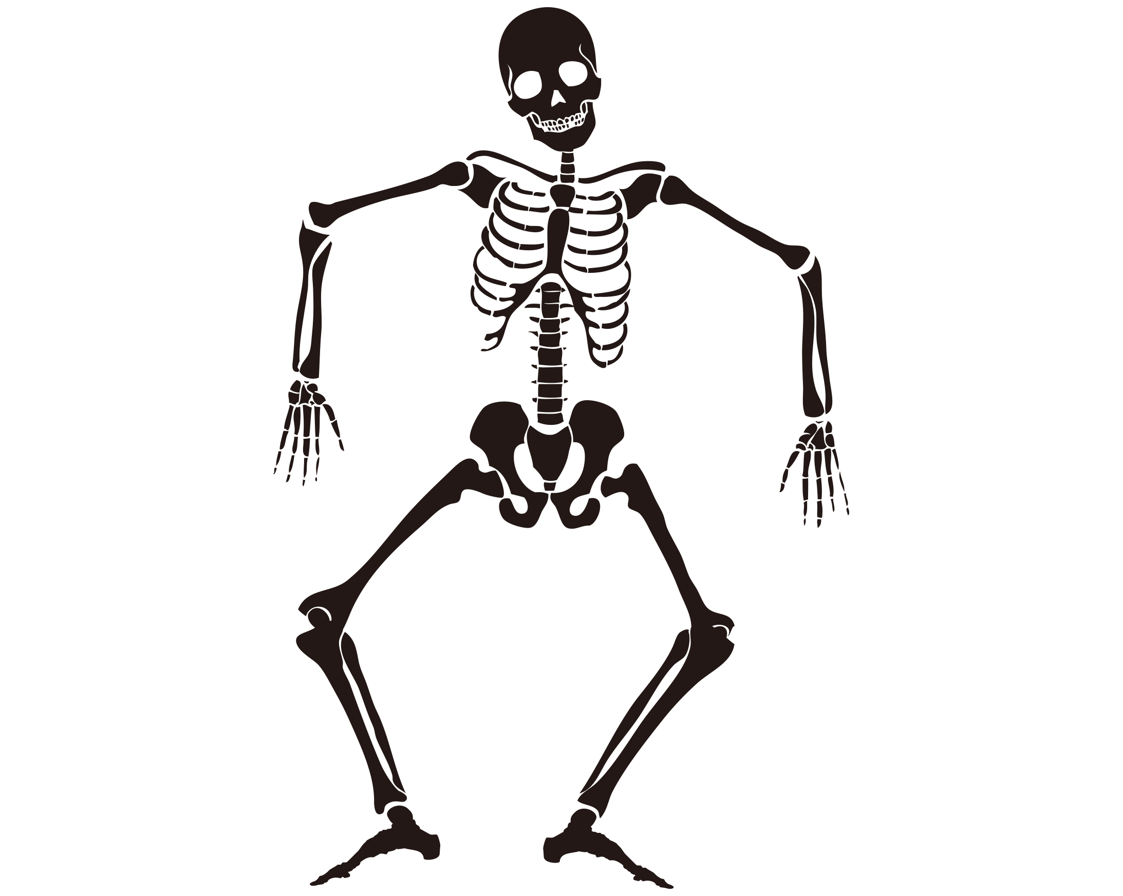 画像をダウンロード 骸骨 シルエット ただ素晴らしい花