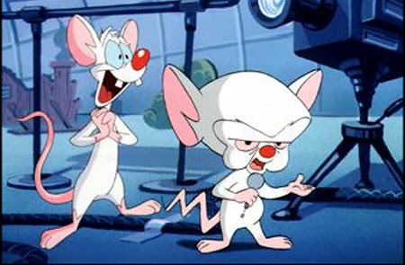 Pinky and the Brain pinky and the brain. Pinky and the Brain