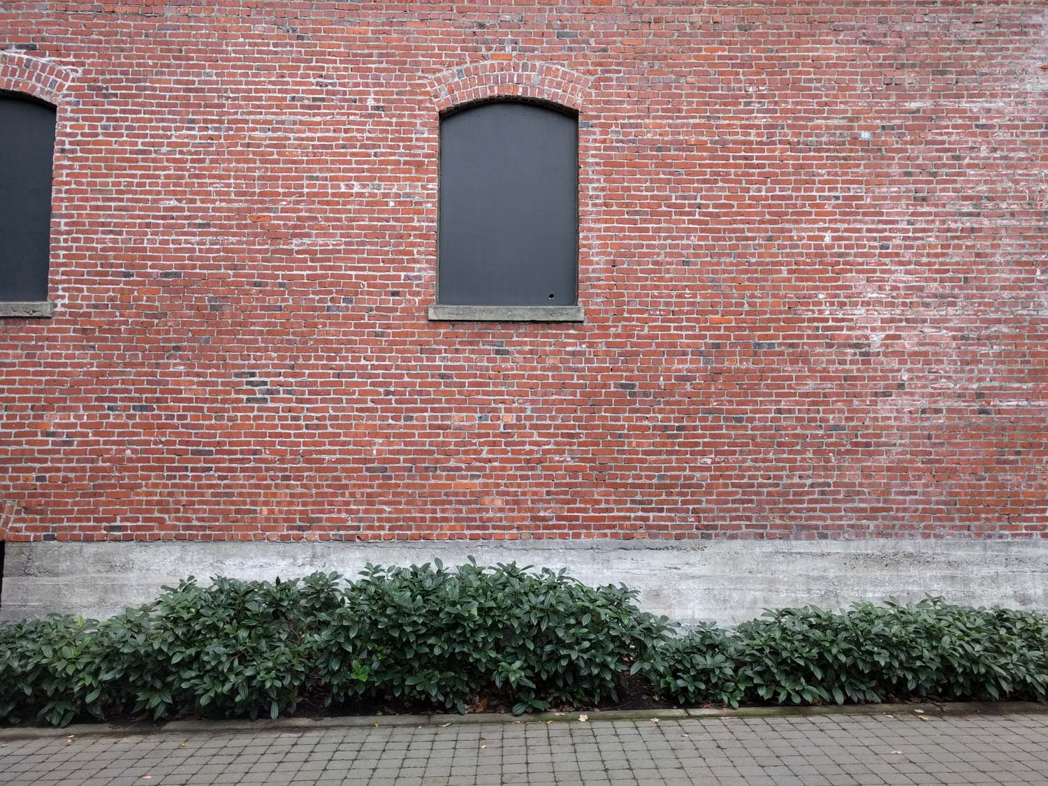 nexus 5x camera samples-7