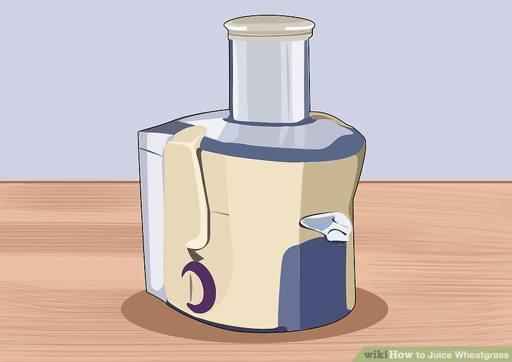Juice Wheatgrass Step 21.jpg