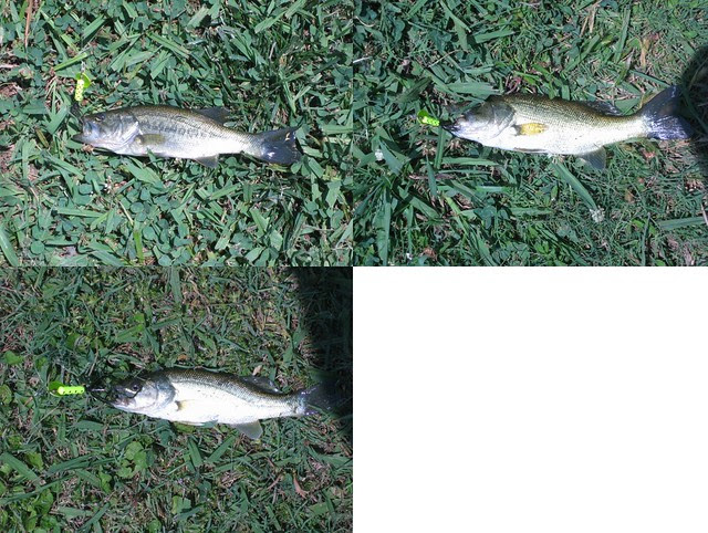 20110603a