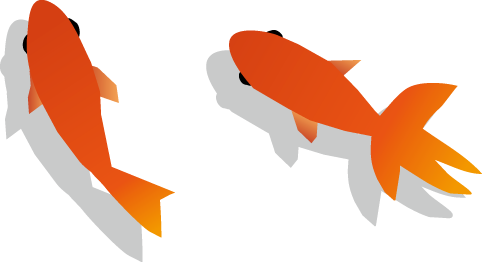金魚のイラスト 無料イラスト フリー素材