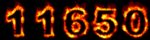 Web Site Counter