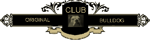 Mr. Michele Abbondandolo My Last Logo Collection