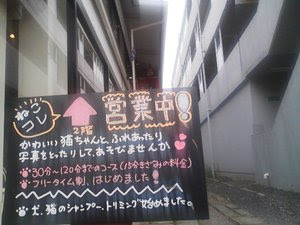 山形人 山形にも猫カフェがあった