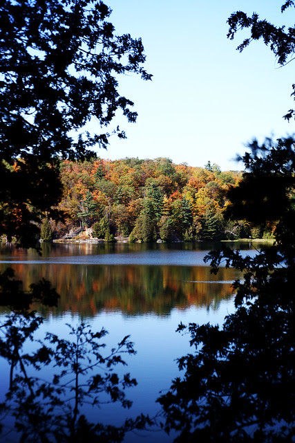 pink lake - gatineau park