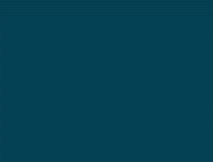 MozBar_Large.gif