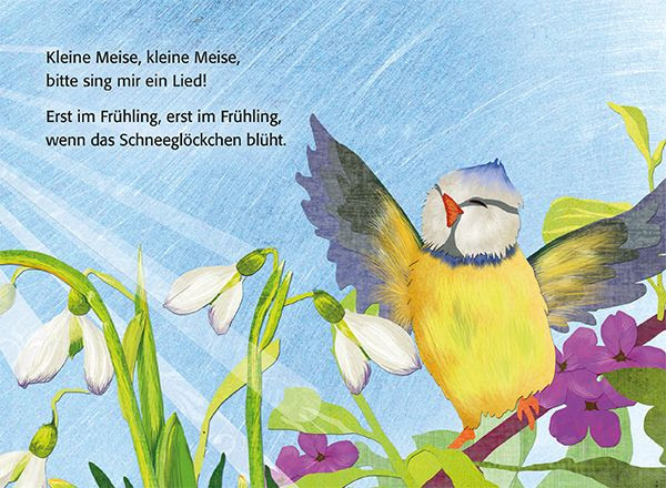Kleine Meise, kleine Meise - Eulenspiegel Kinderbuchverlag