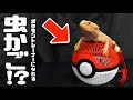 [最も欲しかった] ポケモン むしかご マスターボール 127318