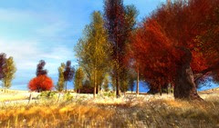 ~ Season Of Colors ~