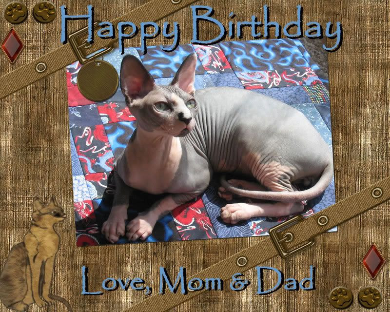 Happy Birthday Dragonheart