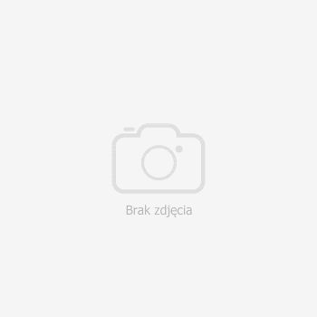 Trylogia czasu. Tom 3. Zieleń szmaragdu - Gier Kerstin