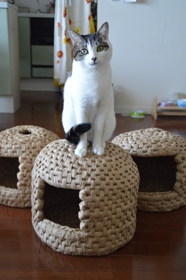 紙紐猫ちぐら考 1 待てぬなら 作ってしまえ猫ちぐら