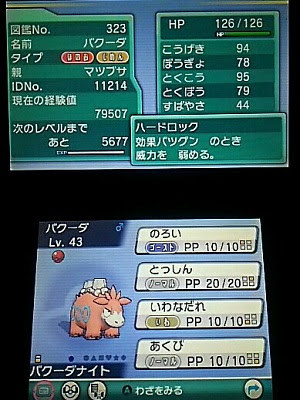 マツブサバクーダ お馬さんの足音