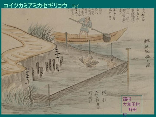 近世大坂の釣りと漁業 新発見の絵図を参照して 003
