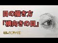 [ベスト] 目 横 イラスト リアル 235971