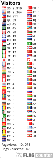 Flag Counter