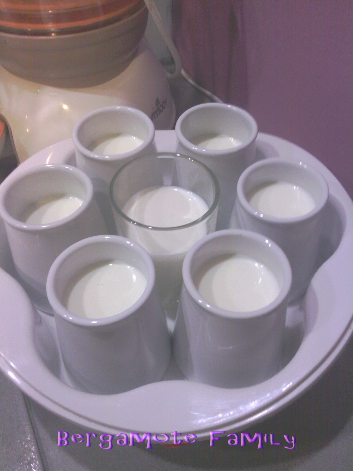 Yaourts Pour Bebes Enfants Adultes A La Yaourtiere Des 6 Mois Pour Toute La Famille Bergamote Family