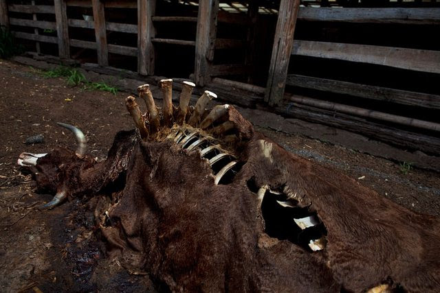 Dqp20l.jpg (640?426)