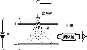 Elementary Electric Charge Japanese