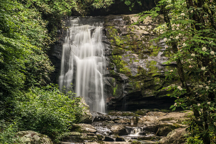Choosing shutter priority and setting shutter to 1/8th of a second to blur the water.