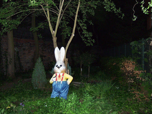scary rabbit feature