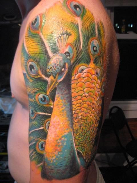  but nice balance. Pretty! | Realistic &amp; 3D Peacock Tattoos | Pinterest