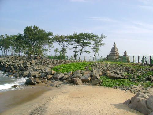 DSC02311