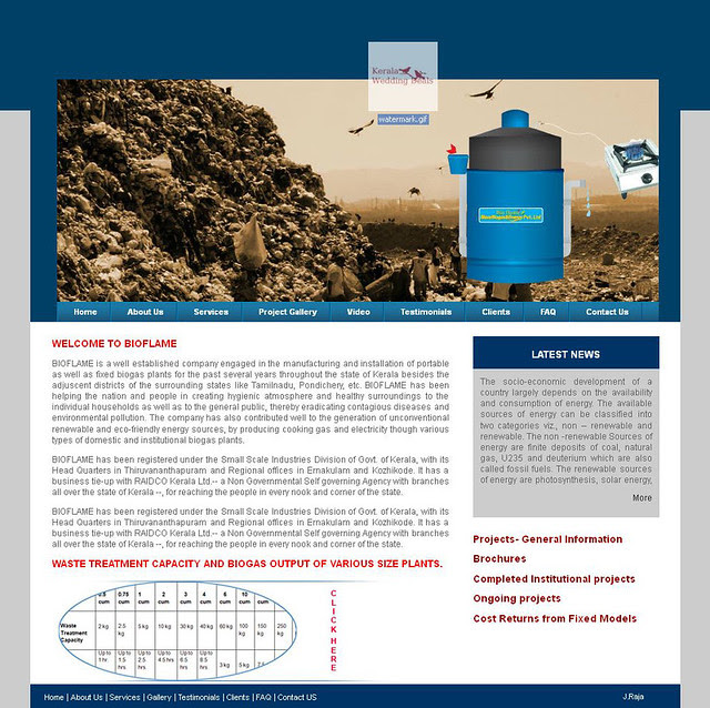 Website Design for Bioflame