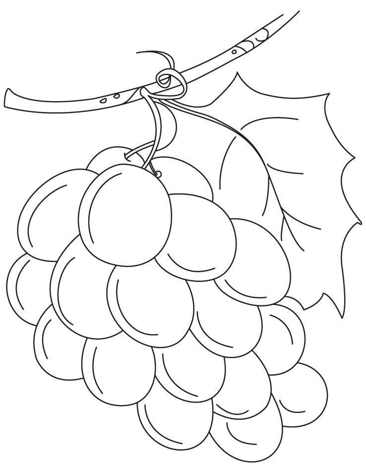 Download Grapes Coloring Page - Coloring Home