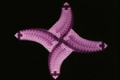 Image from this film