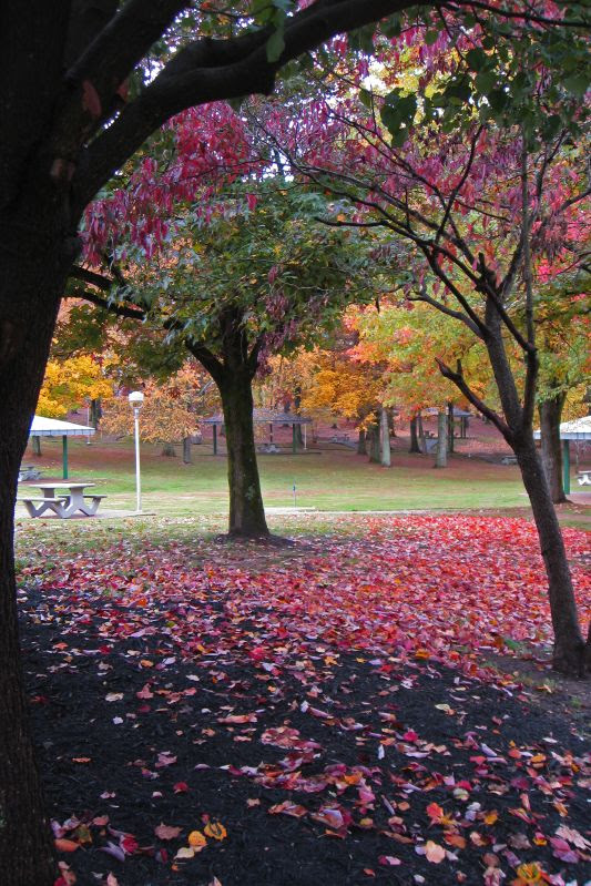 Tennessee Autumn
