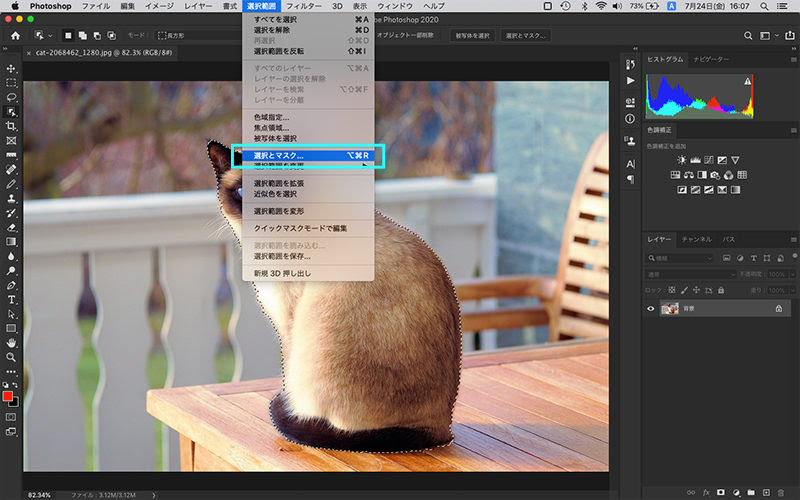 Photoshop フォトショップ で複雑な切り抜きに挑戦しよう Re Aid