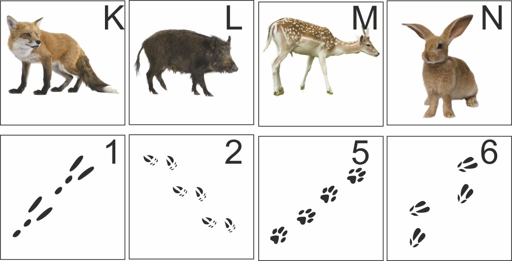 GC372G8 Schlossberg 1 (Multi-cache) in Thüringen, Germany ...