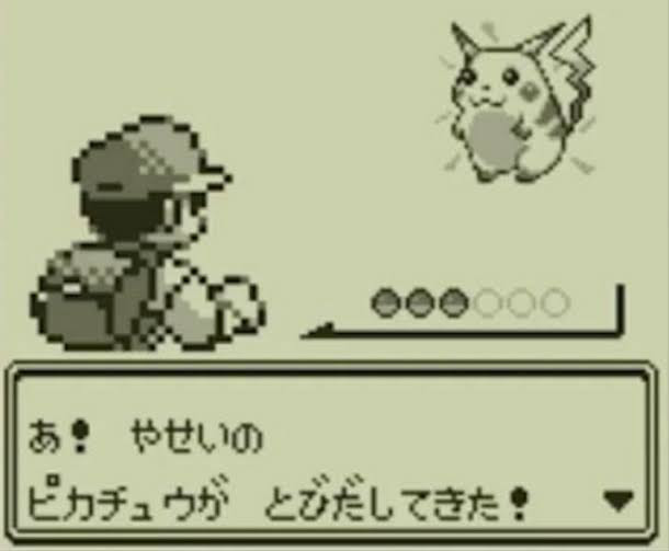 大人も楽しめる ずっと人気なポケモンシリーズのおもしろい話 伊藤智 子供から家族まで自然でおしゃれに残す人生の写真館 ライフスタジオ