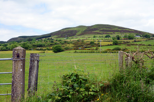 Mt Binevenagh