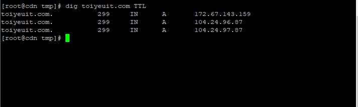 dig TTL info