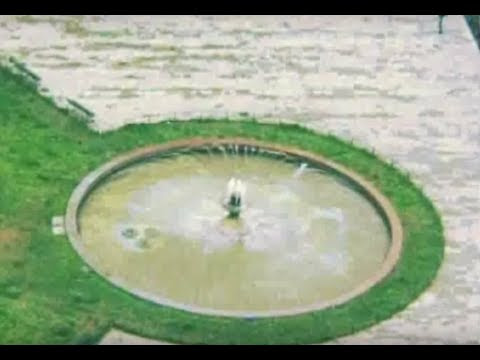 Unidentified Submerged Object. USO Unidentified Submerged Objects: pesce vescovo 5.95 min. | 0 user rating | 649 views. Una serie di 12 episodi per il canale Sailing Channel Qui il sito